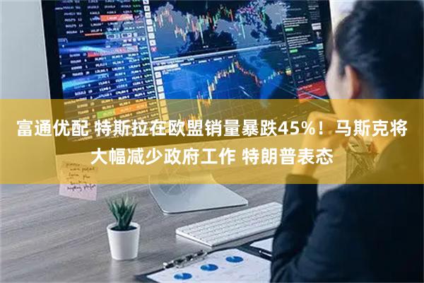 富通优配 特斯拉在欧盟销量暴跌45%！马斯克将大幅减少政府工作 特朗普表态