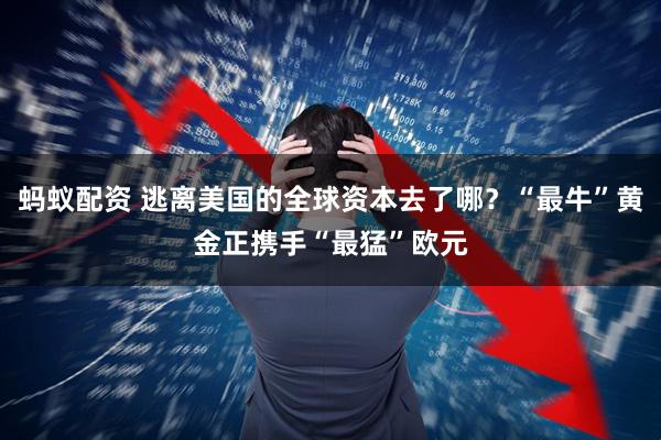 蚂蚁配资 逃离美国的全球资本去了哪？“最牛”黄金正携手“最猛”欧元