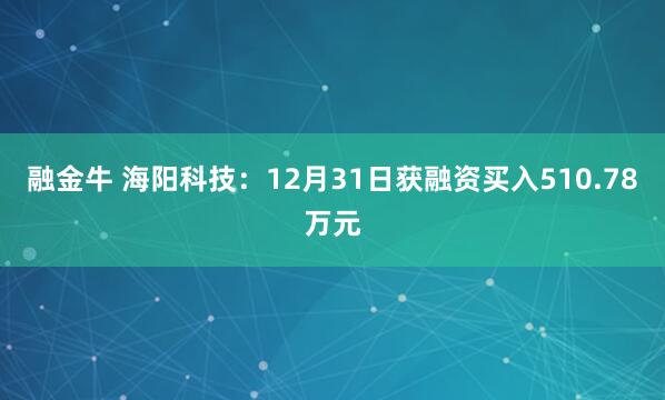 融金牛 海阳科技：12月31日获融资买入510.78万元