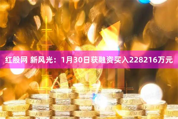 红股网 新风光：1月30日获融资买入228216万元