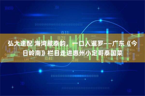 弘大速配 海湾藏泰韵，一口入暹罗——广东《今日岭南》栏目走进惠州小定哥泰国菜
